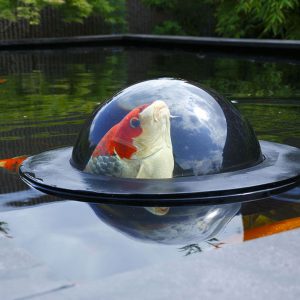 Floating Fish Dome by Professional landscaping services
