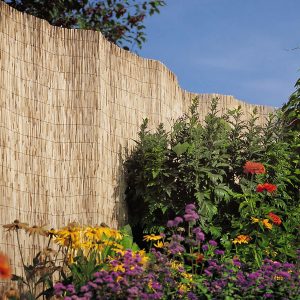 Reed Fences by Professional landscaping services